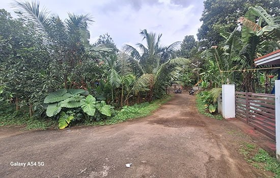 Land for sale in Angamaly